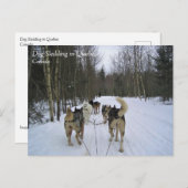Dog Sledding in Quebec, Canada Briefkaart (Voorkant / Achterkant)