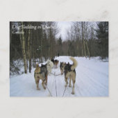 Dog Sledding in Quebec, Canada Briefkaart (Voorkant)