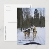 Dog Sledding in Quebec, Canada Briefkaart (Voorkant / Achterkant)