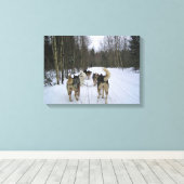 Dog Sledding in Quebec, Canada Canvas Afdruk (Insitu (Houten vloer))