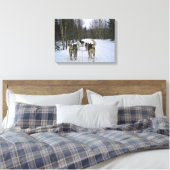 Dog Sledding in Quebec, Canada Canvas Afdruk (Insitu (Slaapkamer))