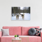 Dog Sledding in Quebec, Canada Canvas Afdruk (Insitu (Woonkamer))