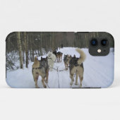 Dog Sledding in Quebec, Canada Case-Mate iPhone Case (Achterkant (horizontaal))