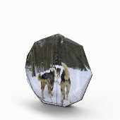 Dog Sledding in Quebec, Canada Fotoblokken (Rechts)