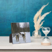 Dog Sledding in Quebec, Canada Fotoplaat (Insitu)