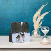 Dog Sledding in Quebec, Canada Fotoplaat (Insitu)