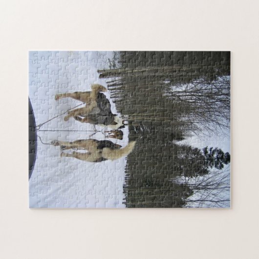 Dog Sledding in Quebec, Canada Legpuzzel (Horizontaal)