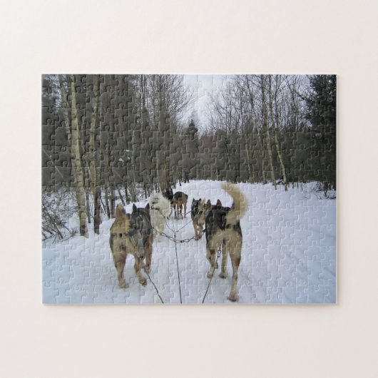 Dog Sledding in Quebec, Canada Legpuzzel (Horizontaal)