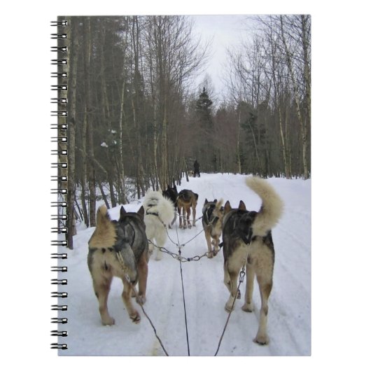 Dog Sledding in Quebec, Canada Notitieboek (Voorkant)