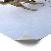 Dog Sledding in Quebec, Canada Poster (Hoek)