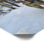 Dog Sledding in Quebec, Canada Poster (Hoek)