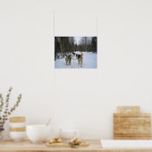 Dog Sledding in Quebec, Canada Poster (Keuken)