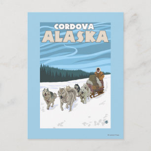 Dog Sledding Scene - Cordova, Alaska Briefkaart