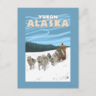 Dog Sledding Scene - Yukon, Alaska Briefkaart