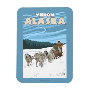 Dog Sledding Scene - Yukon, Alaska Magneet