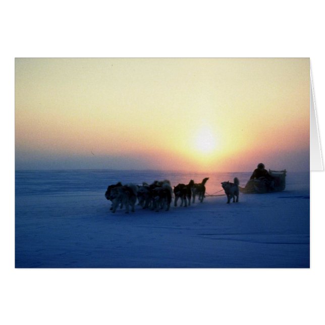 Dog sleed reis bij 45 graden Celsius, Baffin Isla (Voorkant Horizontaal)