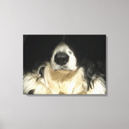 Dog sluiten canvas afdruk