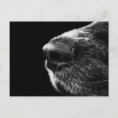 Dog Sniffer Briefkaart (Voorkant)