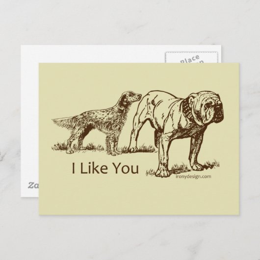 Dog Sniffs Butt Briefkaart (Voorkant / Achterkant)