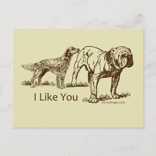 Dog Sniffs Butt Briefkaart (Voorkant)