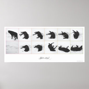 Dog Snow Angel {white} Poster 36x16"