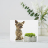Dog snuift buren tuin briefkaart (Staand voorkant)