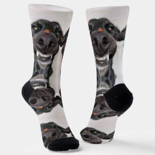 Dog Sokken