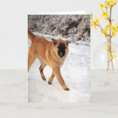 Dog Spotted on a Frosty Morning Walk Kaart (Gele Bloem)