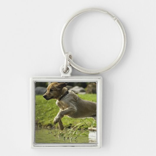 Dog springt in een vijver sleutelhanger (Voorkant)