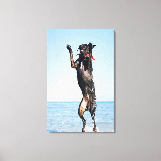 Dog springt in water canvas afdruk (Voorkant)