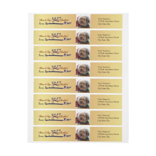 Dog Steals je gouden kerstretour-adres (Vel)