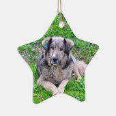 Dog-stervormig Keramisch Ornament (Rechts)