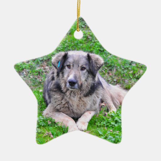 Dog-stervormig Keramisch Ornament (Voorkant)