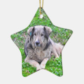 Dog-stervormig Keramisch Ornament (Links)