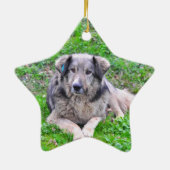 Dog-stervormig Keramisch Ornament (Achterkant)