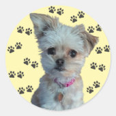 Dog Sticker (Voorkant)