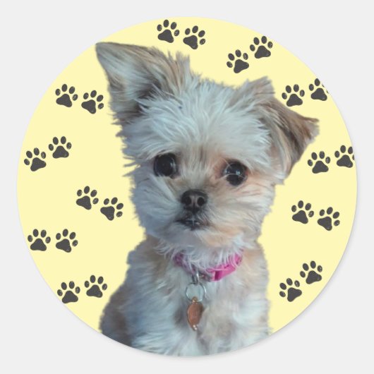 Dog Sticker (Voorkant)