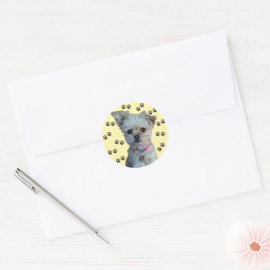 Dog Sticker (Envelop)