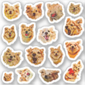 Dog Sticker Set (Voorkant)