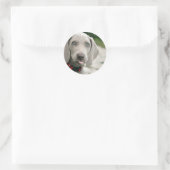 Dog sticker tong uit (Tas)