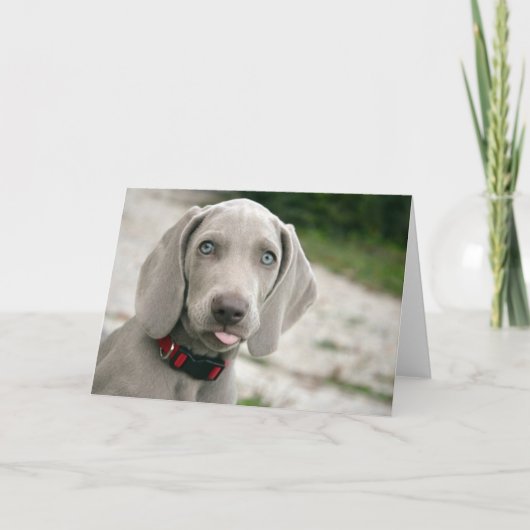 Dog sticker tong uit kaart (Voorkant)