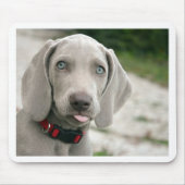 Dog sticker tong uit muismat (Voorkant)