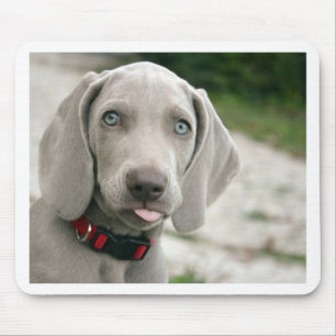 Dog sticker tong uit muismat