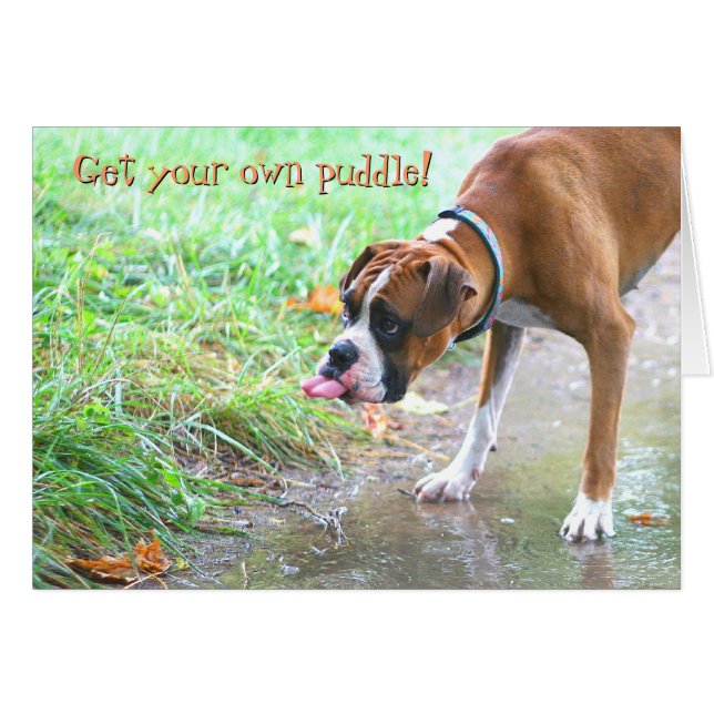 Dog Sticking Tongue uit met Puddle Card (Voorkant Horizontaal)