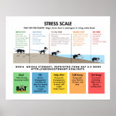 Dog Stress-schaal - Vermijden/Verschrikken-batchan Poster (Voorkant)