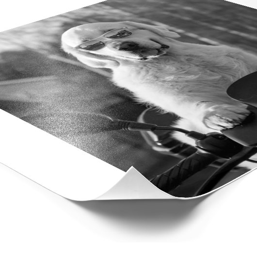 DOG STYLE FOTO AFDRUK (Hoek)