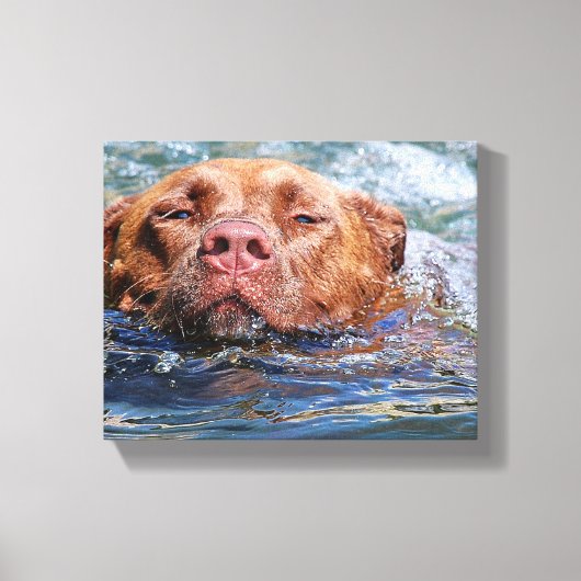 Dog Swimming Canvas Afdruk (Voorkant)