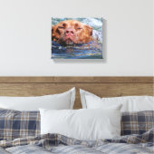 Dog Swimming Canvas Afdruk (Insitu (Slaapkamer))
