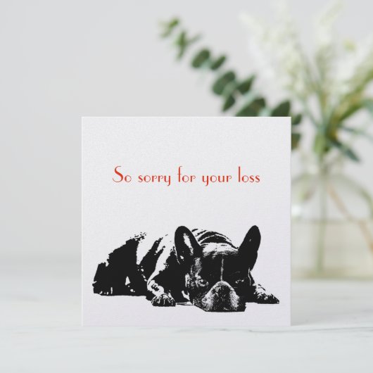 Dog Sympathie (Staand voorkant)