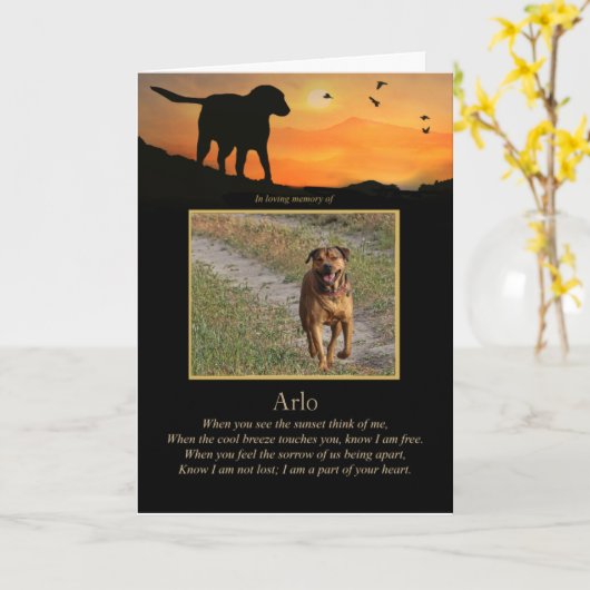 Dog Sympathie Aangepast foto Spiritueel gedicht Kaart (Gele Bloem)